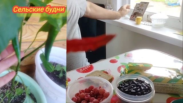 Купили в Фикс прайсе посуду, ну очень красивая... и перец Халапенью
