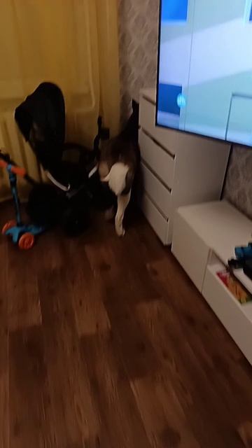 1000019634.mp4
