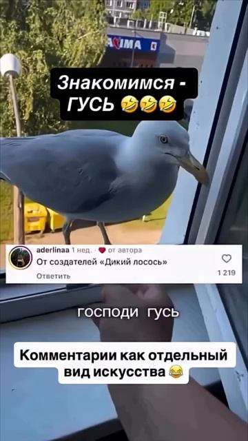 Всё в комментариях