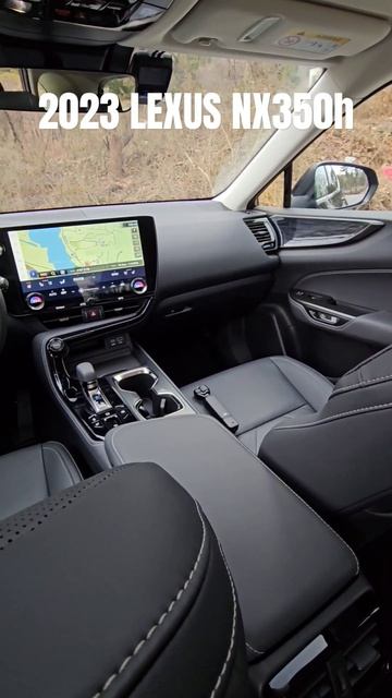 2023 LEXUS NX350h AWD POV Exterior And Interior #shorts