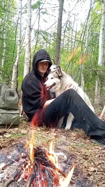 Хаски Джульбарс и лайка Сильвия, и их хозяин — отдых в лесу у костра.