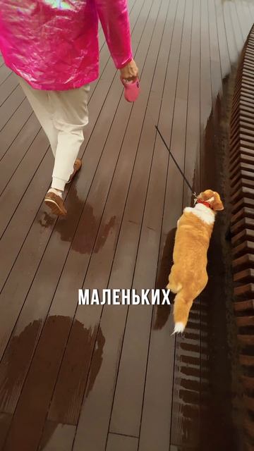 🗝️Что характеризует премиальный загород?