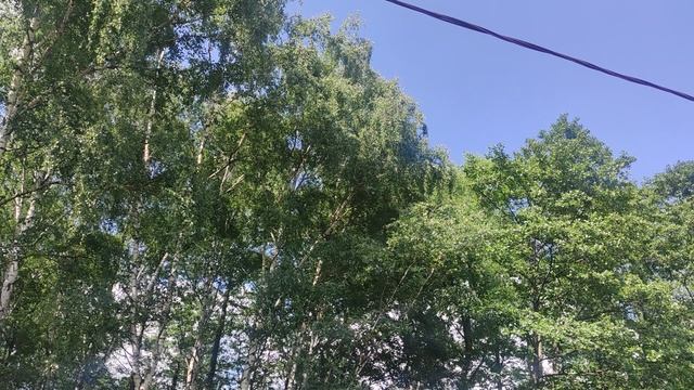 5 мая СЕНСАЦИЯ Магический ☀️ подарок от волшебника