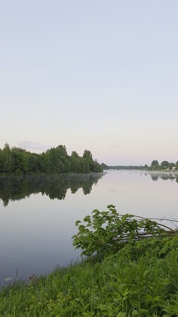 Раннее июньское утро на реке Шуя.