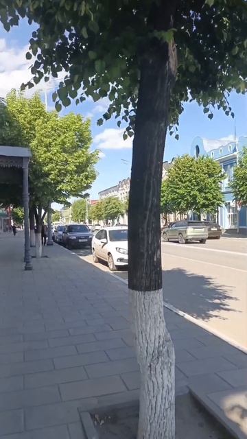 прогулка