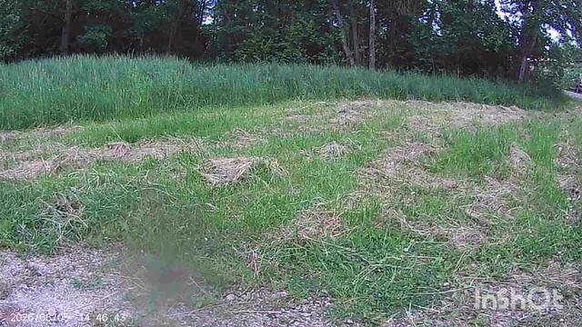 Loncin Xwolf 550,1000 лес и по городу.
