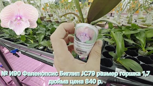 и90