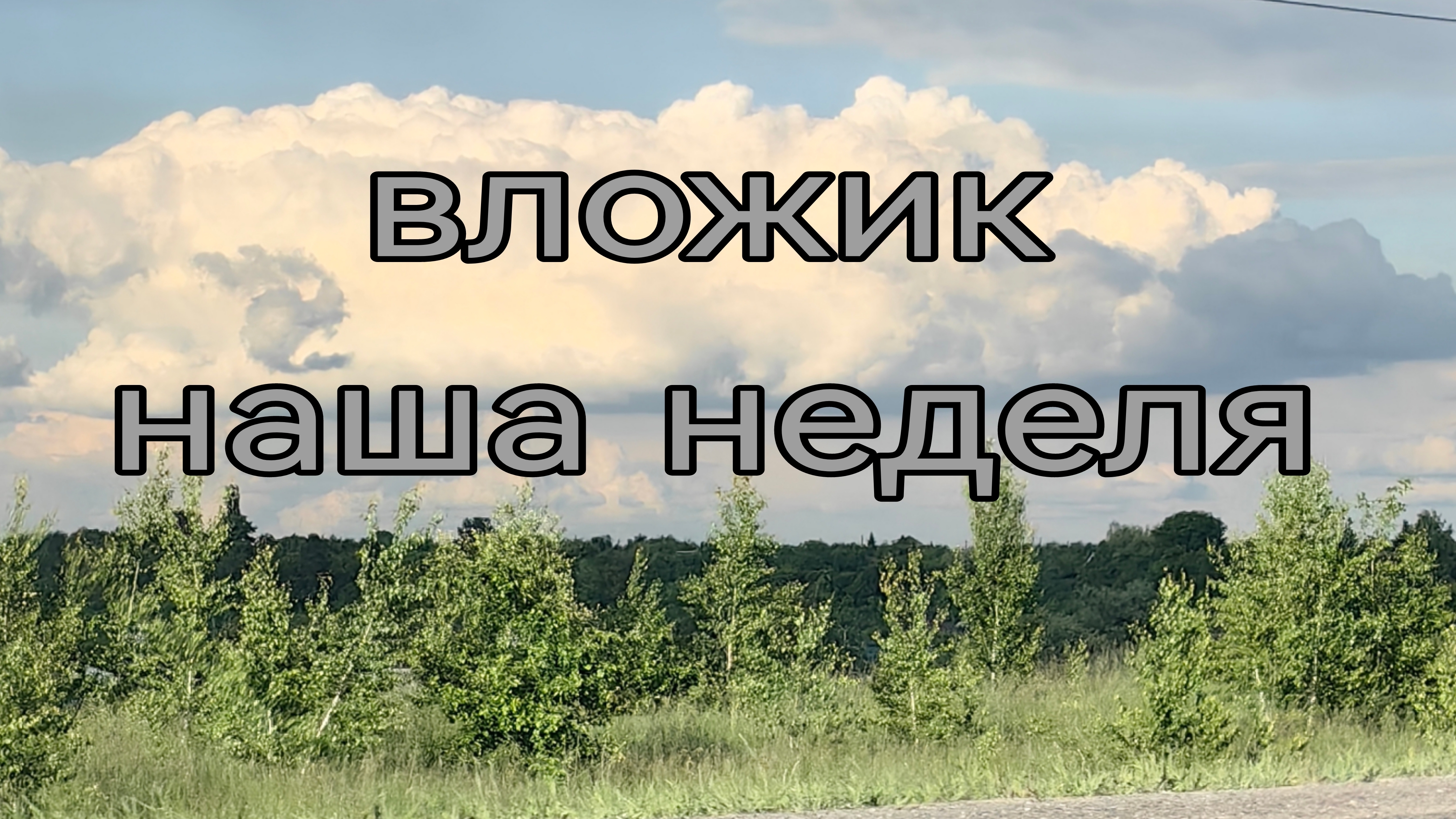 вложик