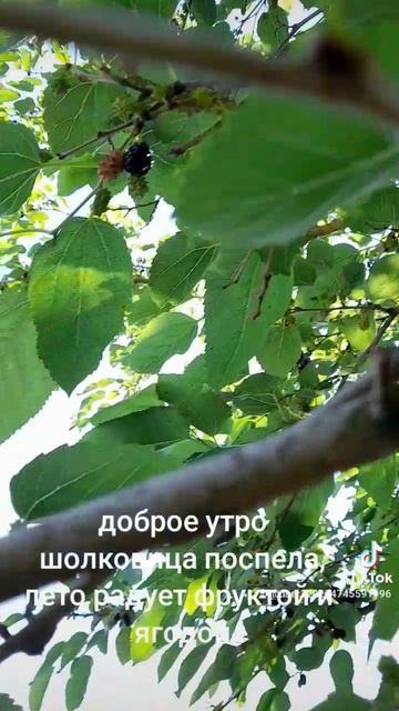 1000026915.mp4