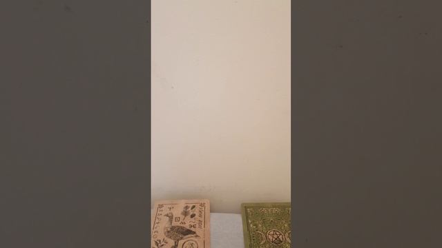 🕊️🕊️🕊️ Состояние защиты. Расклад на 2 варианта 🕊️🕊️🕊️
