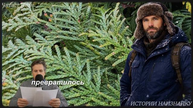 Поймав ЗЕЧКУ-БЕГЛЯНКУ одинокий ЕГЕРЬ привёл ее в ИЗБУ. Через неделю сосед заглянул в окно и застыл
