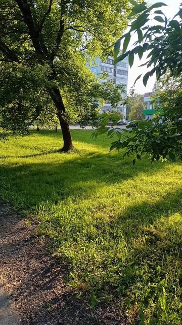 Летний вечер в городе 
Зарисовка