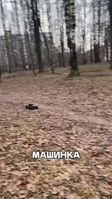 Арт Озон #3522577361