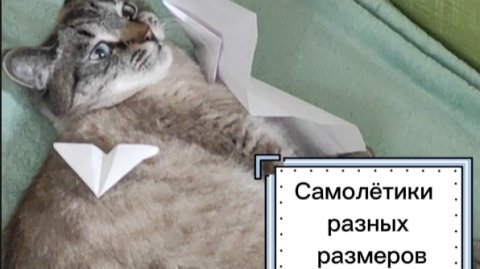🙀😏😄 Самолётики разных размеров! От самого маленького до самого большого!🔥😍🤗
