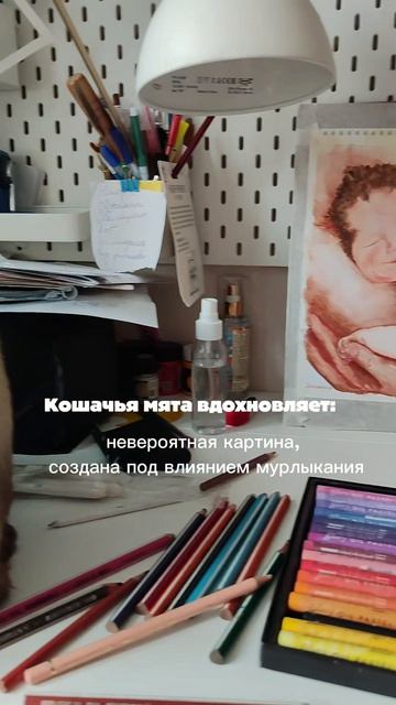 Кошачья мята вдохновила 😱🤣
#кот