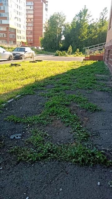 Хотите прямую трансляцию в ближайшие дни!? Посидим. Поговорим. Пообщаемся