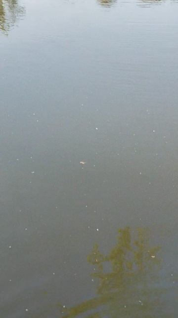 VID_20260520_181307