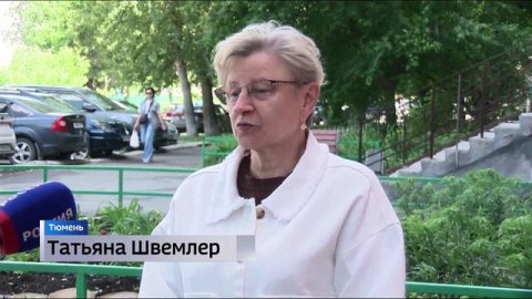 Скульптуры из срубленных аварийных деревьев украсили тюменский двор
