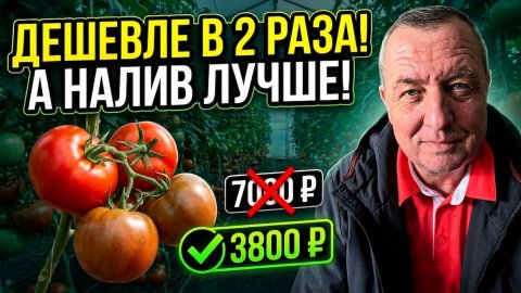 Зачем платить 7000₽ за мешок Секрет мощного налива томатов в 2 раза дешевле!