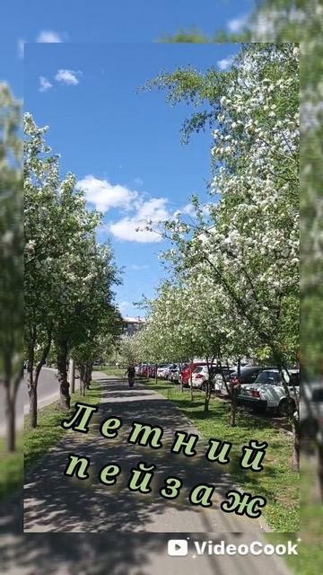 Летний пейзаж