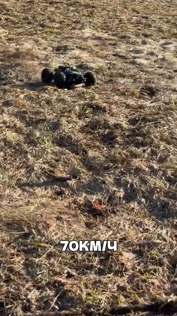 Арт Озон #3522577361