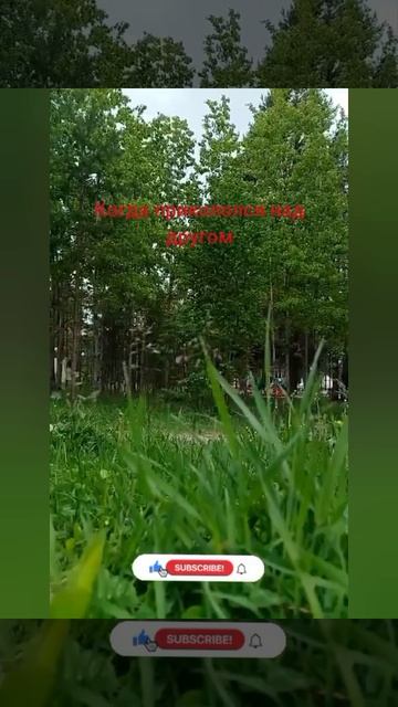 Когда прикололся на другом