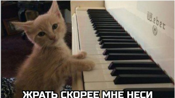Два видео в день,успех.(Окак,а мне нравится😌)