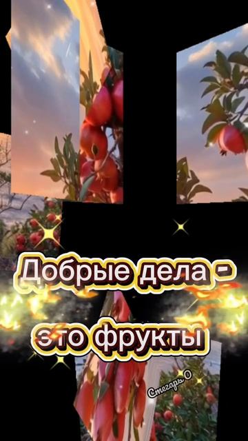 Хорошего вечера