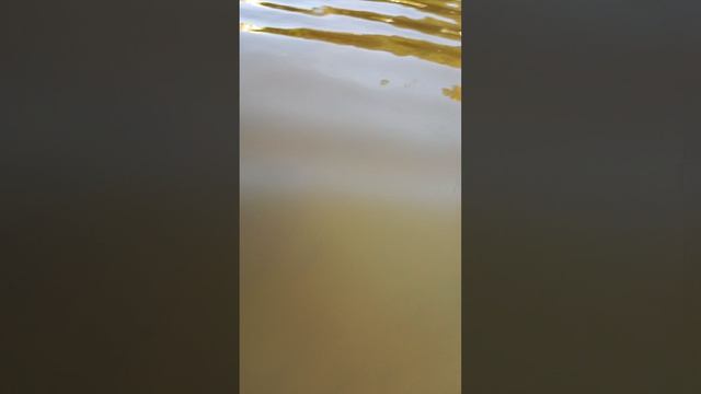 как я купался в карьере