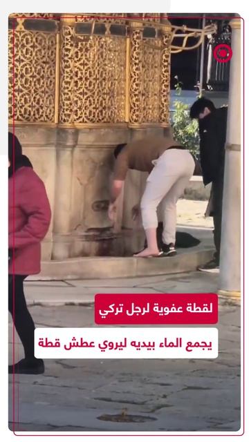 لقطة عفوية رصدها سائح في شوارع تركيا تظهر قيام شاب بتقديم الماء لقطة مشردة باستخدام يديه.