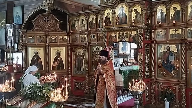 7 июня Неделя 1-я по Пятидесятнице, Всех святых, проповедь протоиерея Анатолия Балясина.