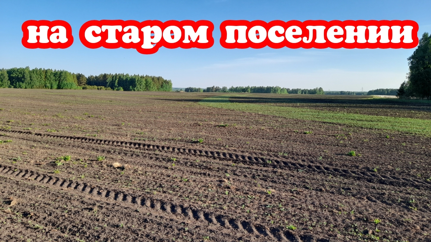 Собираю металл с полей поиск монет