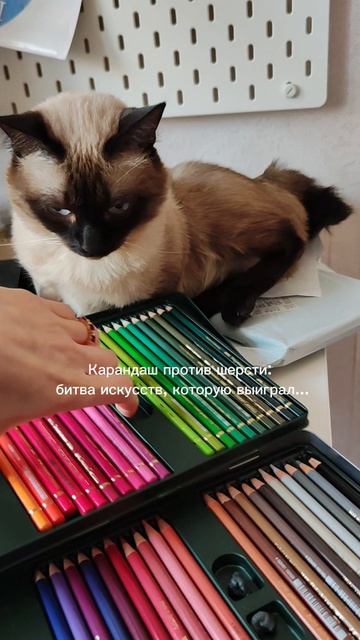 Кто выиграл??