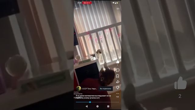 Снимаю реакцию на Никитины видосики