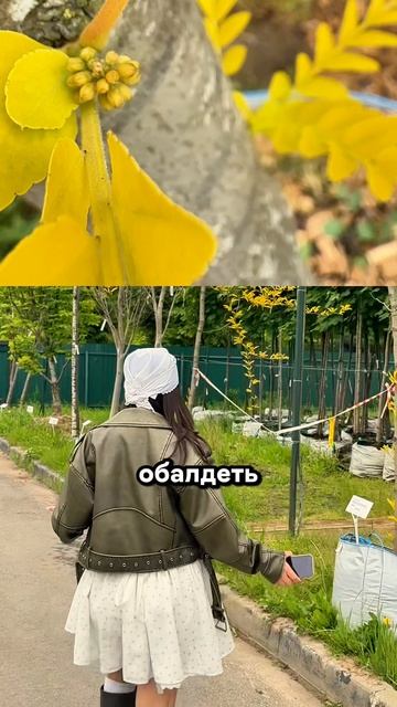 Хотите, чтобы соседи ахнули? Посадите ЭТО🌳🔥