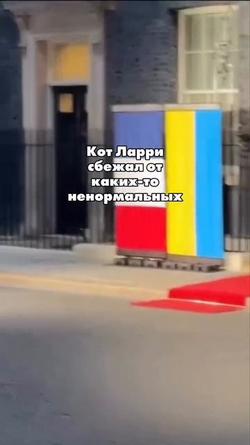 🇷🇺 Поддержи наших героев!