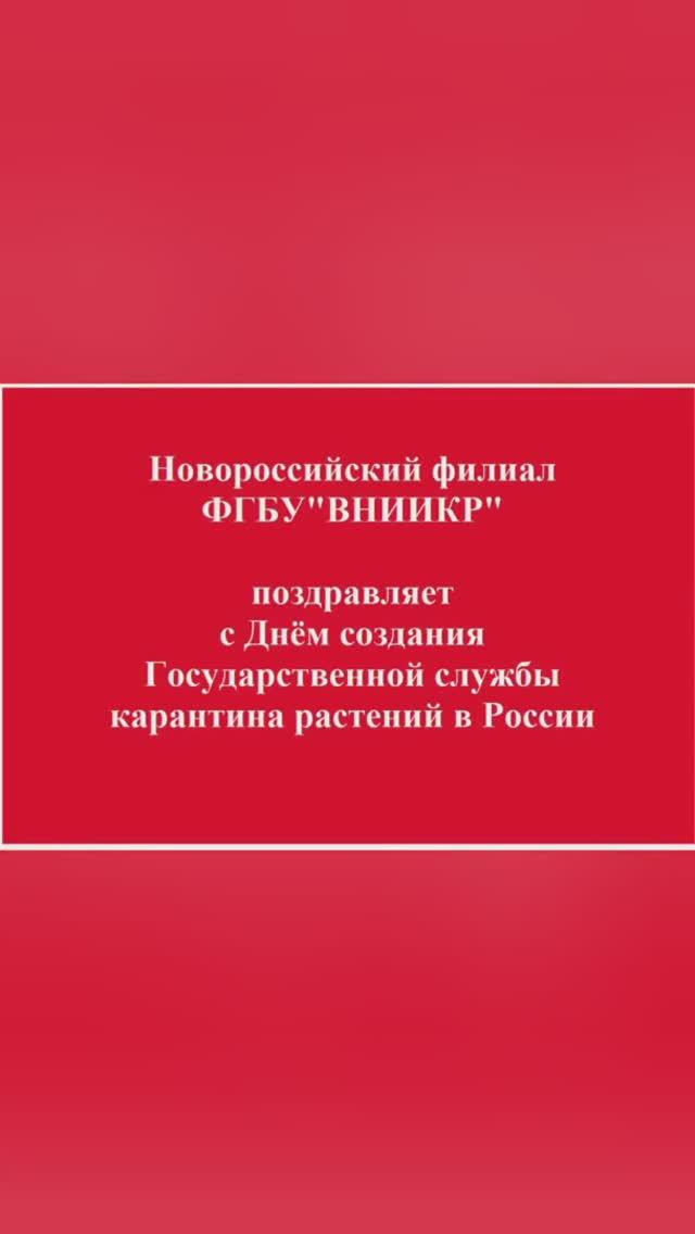 Новороссийский филиал ВНИИКР поздравляет с Днем создания Государственной службы карантина растений