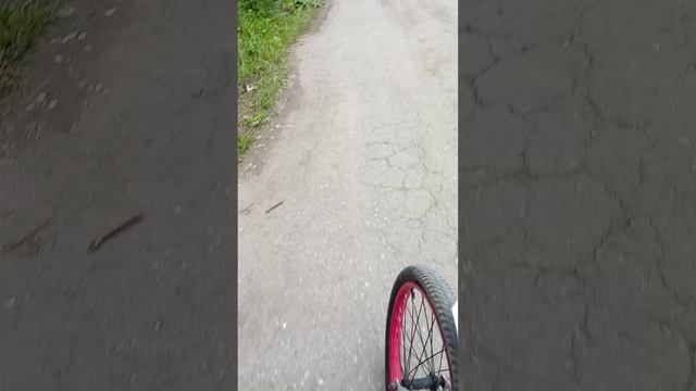 встреча и гулянка с Никитой