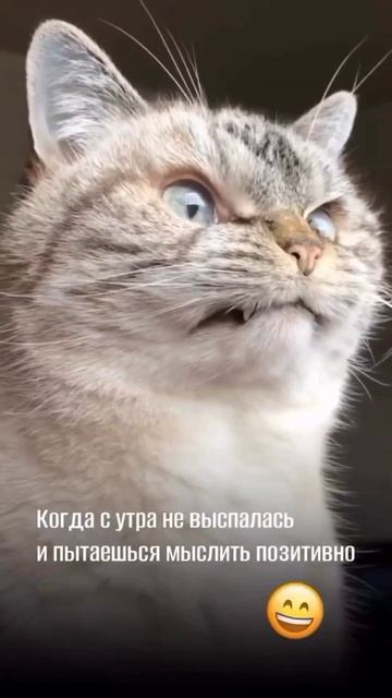 Когда утро, слишком жесткое🫢
