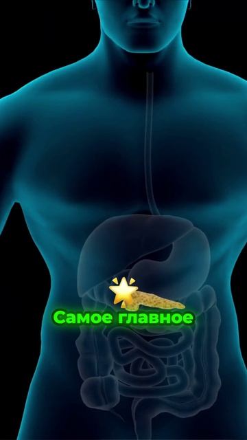 Что сахар делает с вашим обменом веществ? #диета #инсулинорезистентность #диабет #pranafood #зож