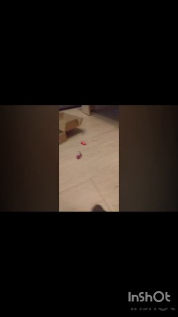 В конце сильно багнуло видео на монтаже🤕
