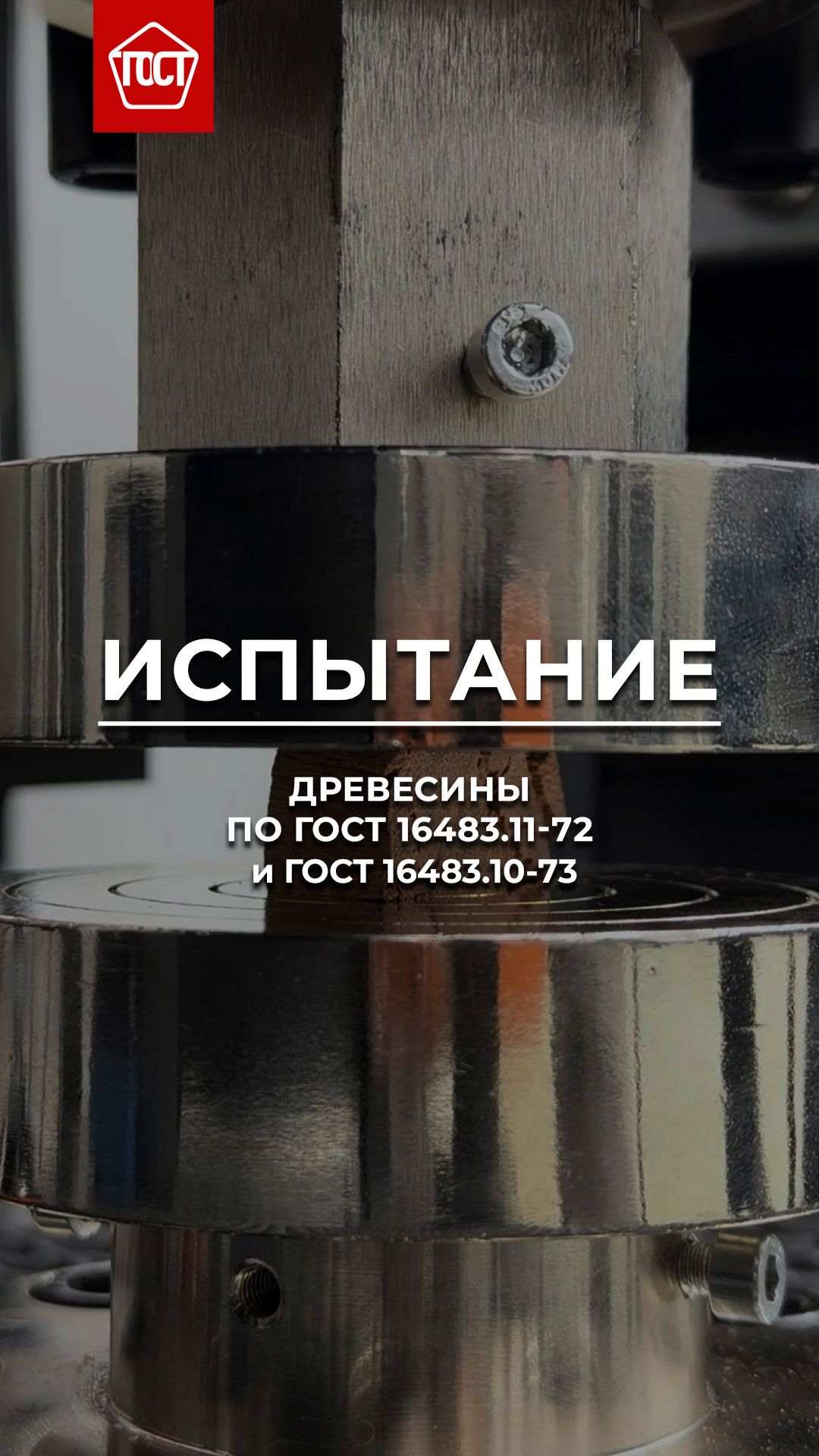 Испытание иностранных пород древесины на сжатие вдоль и поперёк волокон.