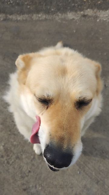 Всем привет 🐕🤗❤️👋