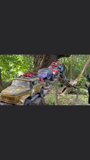 Rc Trophy Rc Drezgalovo