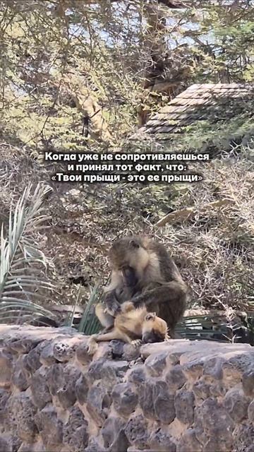 Сопротивление бесполезно