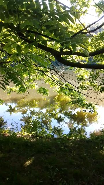 1000243029.mp4