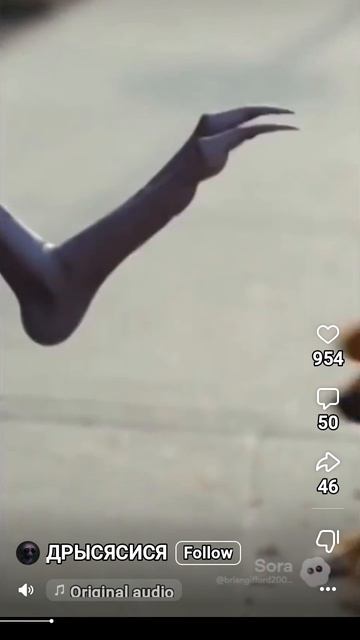 🤣🤣🤣🤣🤣🤣