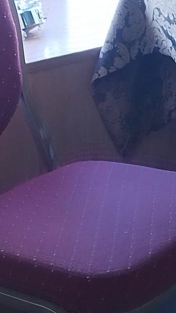 с мамой в магазине штор увидела кошку.