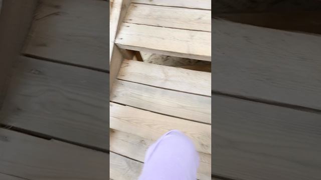 как много зелени!🌳🌳