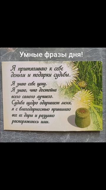 Девиз дня!☀️09.06.2026. Подарки Судьбы и финансы актуальны... #мысли#слова#чувства#душа #разум #дела